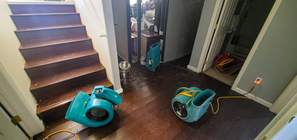 Best 24-hour water damage restoration  in Union City, OK