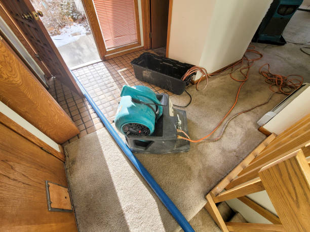 Best Carpet water damage restoration  in Union City, OK