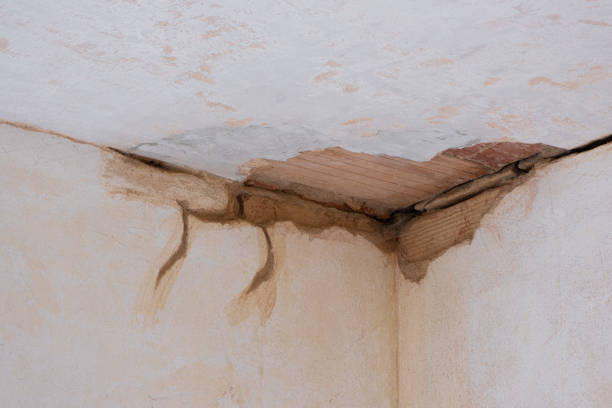 Water damage restoration mold remediation in Union City, OK