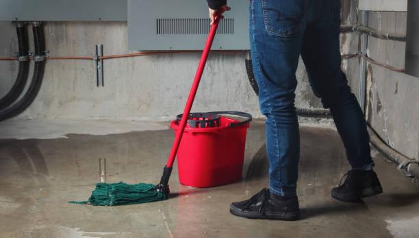 Best Flood damage cleanup  in Union City, OK