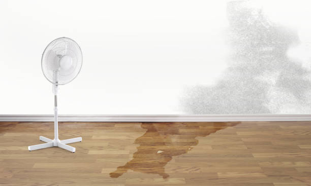 Best Water damage restoration near me  in Union City, OK