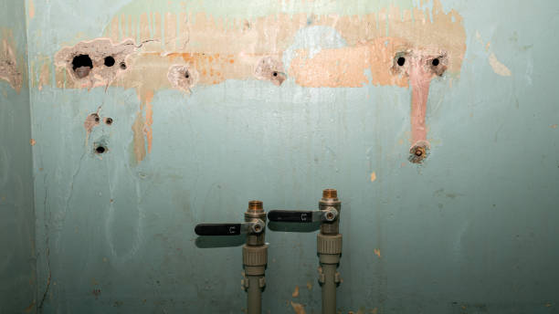Best Flood restoration services  in Union City, OK